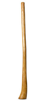 Gloss Finish Flared Didgeridoo (TW1125)